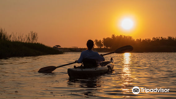 Eco Adventures Puerto Escondido Tours & Travel Agency