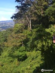 La Carpintera Canopy Tour