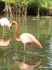 バート・ピルモント動物園