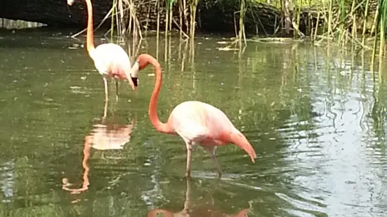 バート・ピルモント動物園