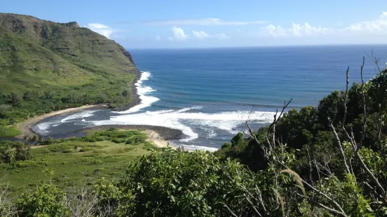 Molokai Bicycle