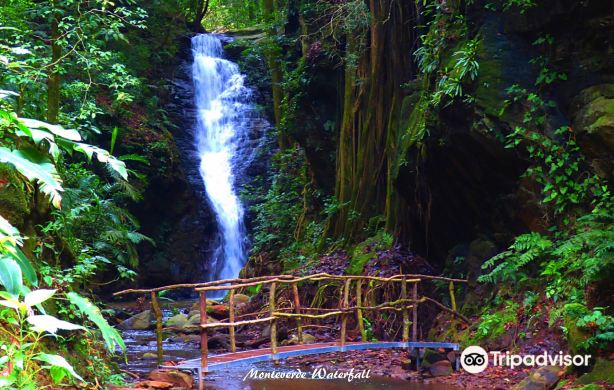 Catarata Los Murcielagos - Monteverde Waterfall