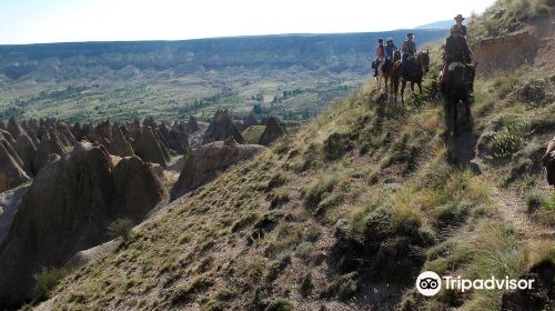 Akhal Teke Horse Riding Center Cappadocia