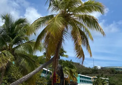 Charlotte Amalie West