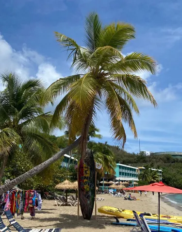 Charlotte Amalie West