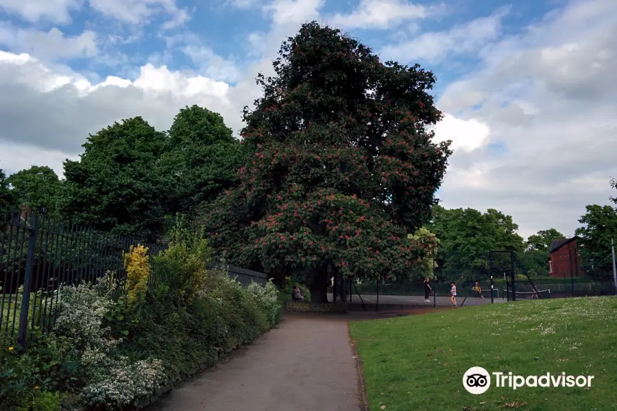 Cale Green Park