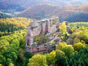 Castle Fort de Fleckenstein
