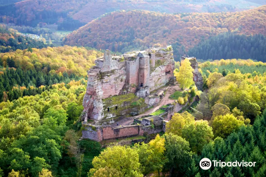 Castle of Fleckenstein