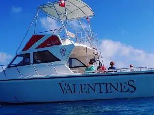 Valentines Dive Center