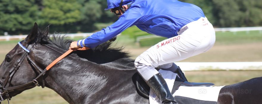 Pompadour Racecourse （Hippodrome de Pompadour）