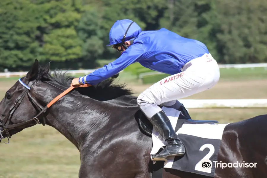 Pompadour Racecourse (Hippodrome de Pompadour)