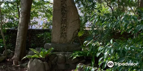 Jimmutemno Tongu Trace