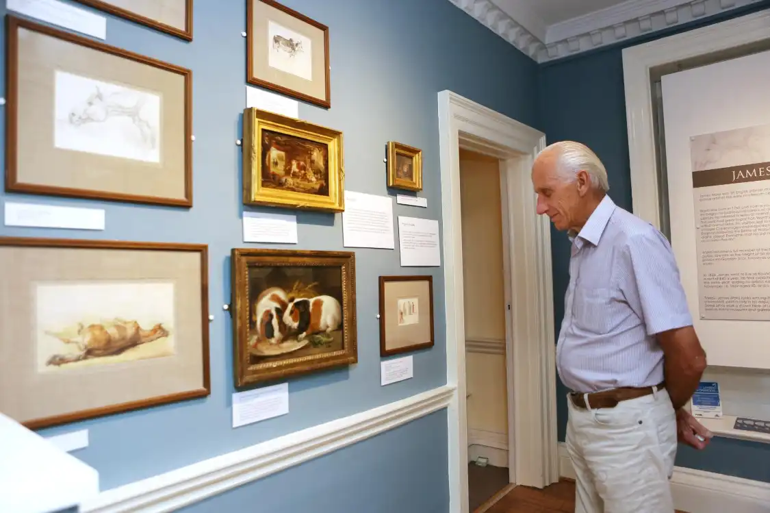 Отели рядом с достопримечательностью «Lowewood Museum»