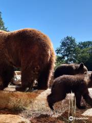 Parc Animalier de Gramat