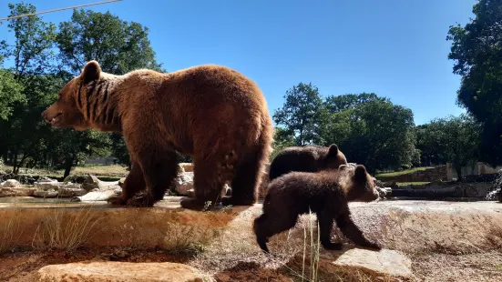 アニマリエ・ド・グラマ公園