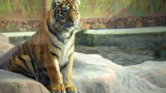 Lutsk Zoo