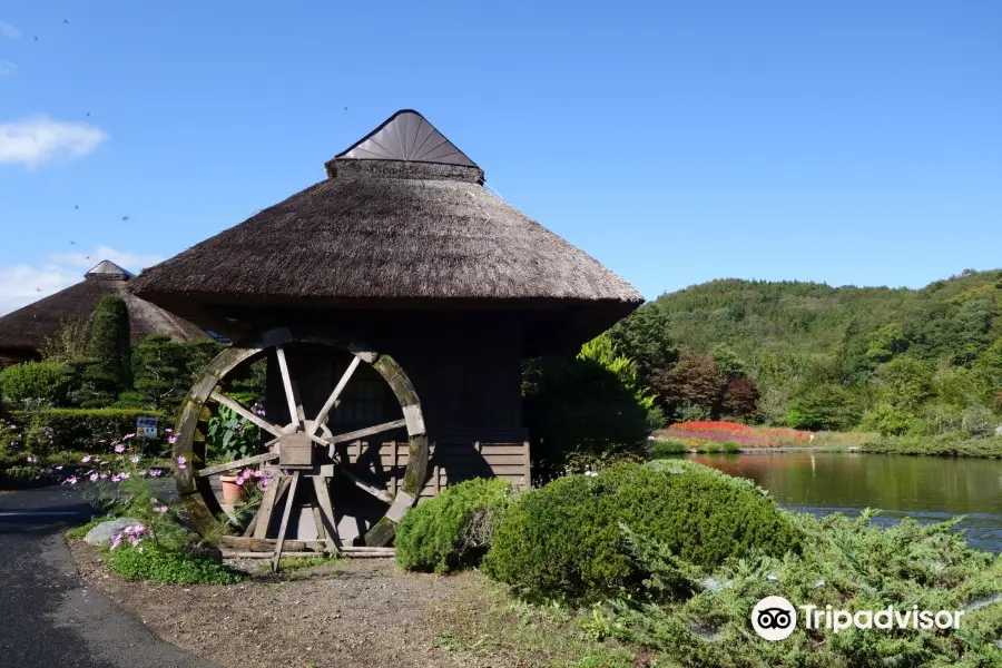 Hannoki Forest Museum / Sokonuke Pond