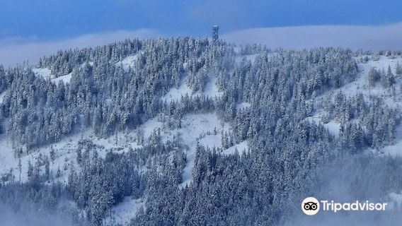 Dolni Morava