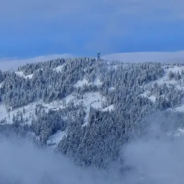 Dolni Morava