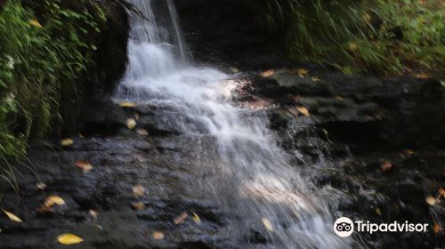 Garwin Falls