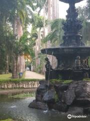 Jardim Botanico da Universidade Federal Rural do Rio de Janeiro