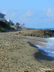 Bathtub Reef Beach