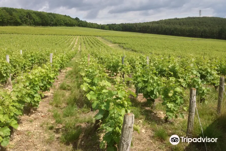 Domaine Georges Millérioux et Fils