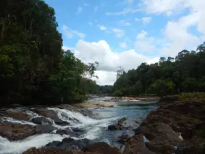 Endau-Rompin National Park