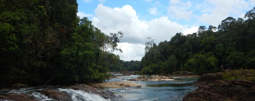 Endau-Rompin National Park