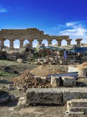 Parco Archeologico di Selinunte