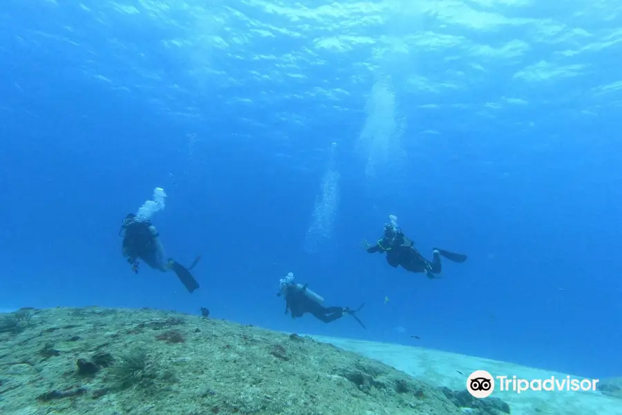 Pontebuzo Cozumel Dive Center