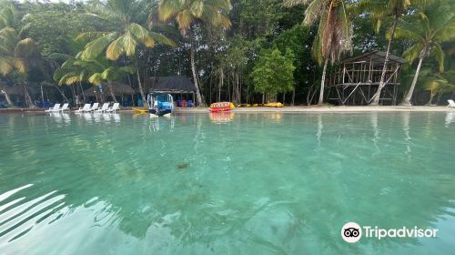 Starfish Beach