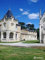 Castle Leognan