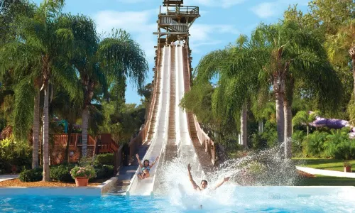 Adventure Island