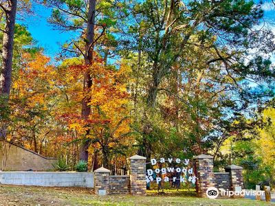 Davey Dogwood Park