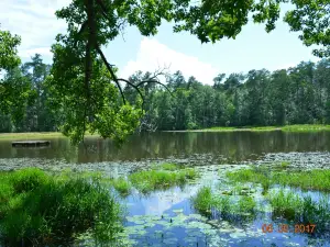 Barnwell State Park