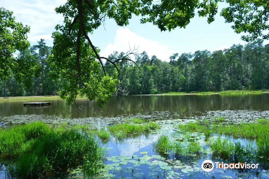 Barnwell State Park