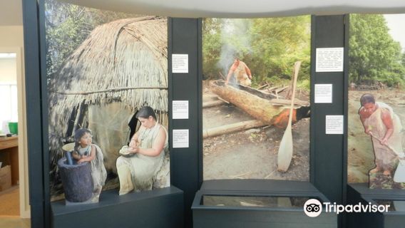 Cape Cod Museum Of Natural History