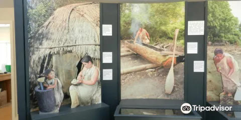 科德角自然歷史博物館