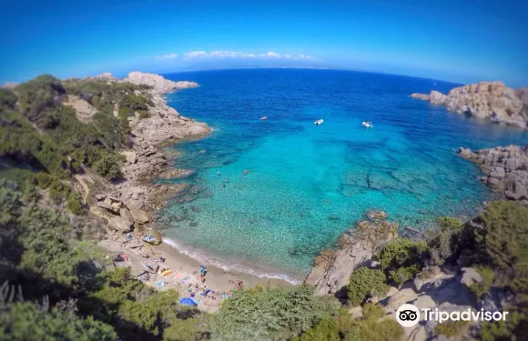 聖特蕾莎加盧拉