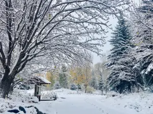 Yampa River Botanic Park