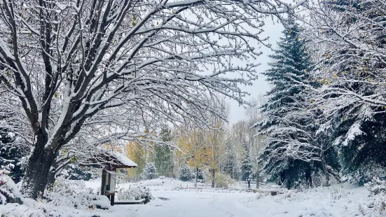 Yampa River Botanic Park