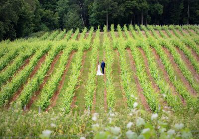 Bluebell Vineyard Estates