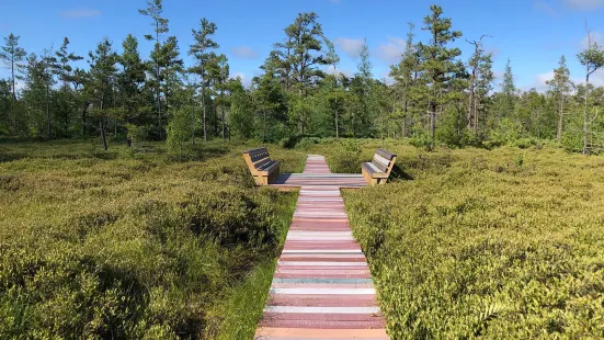 Saco Heath Preserve