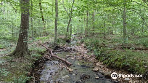 Bull Run Mountains Natural Area Preserve - Virginia Outdoors Foundation