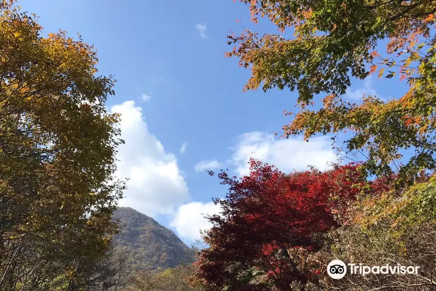 Ikaho Forest Park