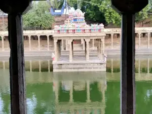 Arulmigu Nellaiyappar Temple