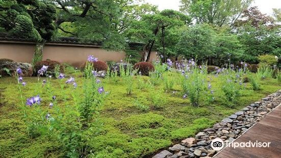 天得院