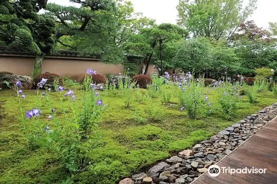 Tofuku-ji Tentoku-in