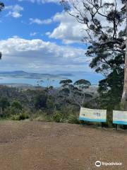 Three Thumbs Lookout